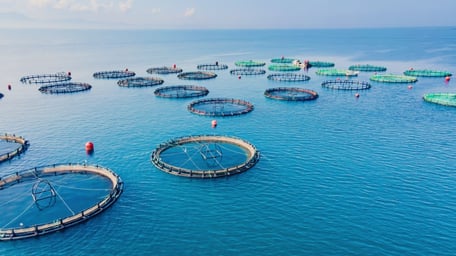 Precautions for fish farms in Lanshan, China