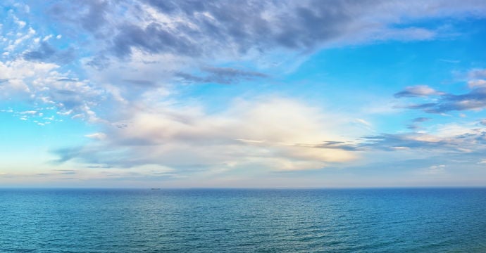 Skuldのサービス