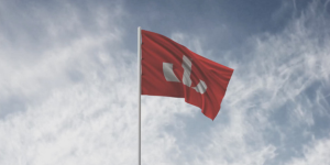 Purpose, vision and values